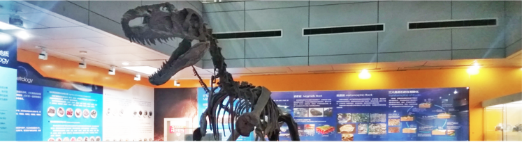 a3023230e4d74914bdf1ce5f18af1563.png image.png