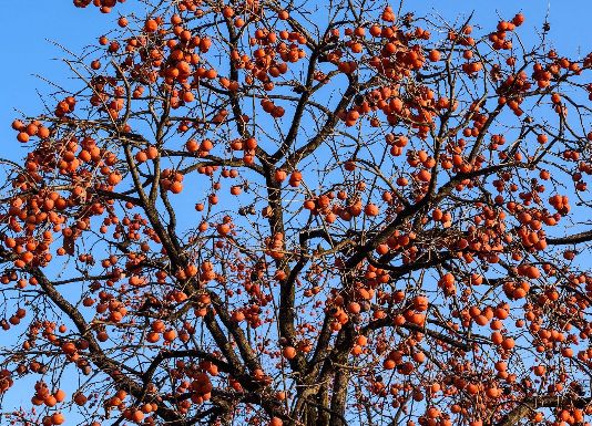 02bb9396394841fc98b5234eeba0e1f1.jpg 02bb9396394841fc98b5234eeba0e1f1.jpg