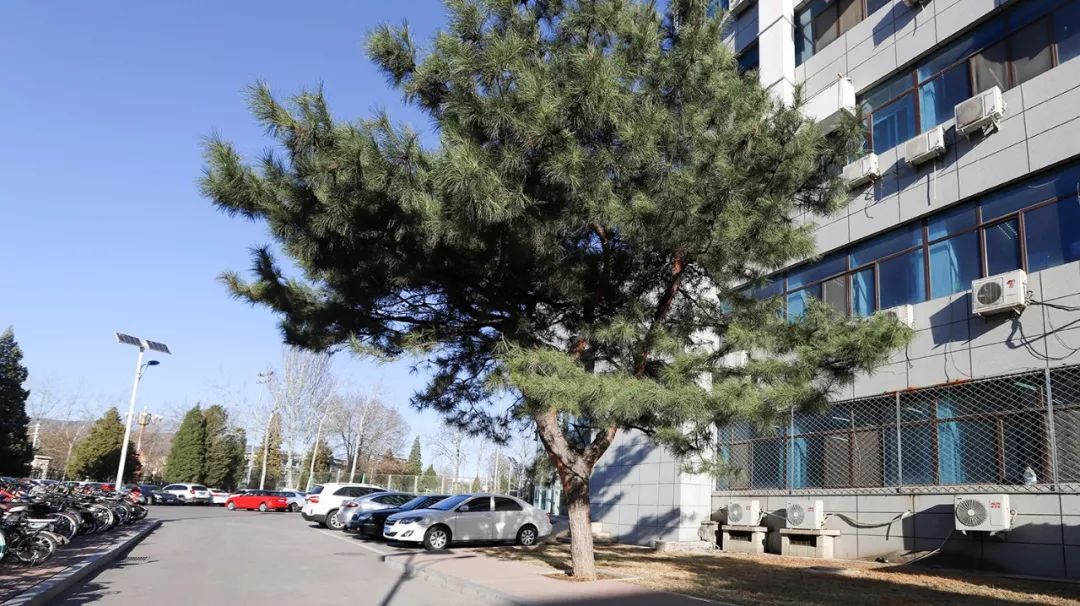 33be4c86b38c46cc907df5f1480e17bc.jpg 33be4c86b38c46cc907df5f1480e17bc.jpg