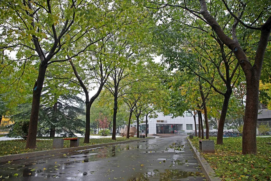 4514419233984c5dbc91f12f3d6cc489.jpg 4514419233984c5dbc91f12f3d6cc489.jpg