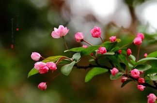 ac50737220e44157950dd0a6a2c898e1.jpg ac50737220e44157950dd0a6a2c898e1.jpg