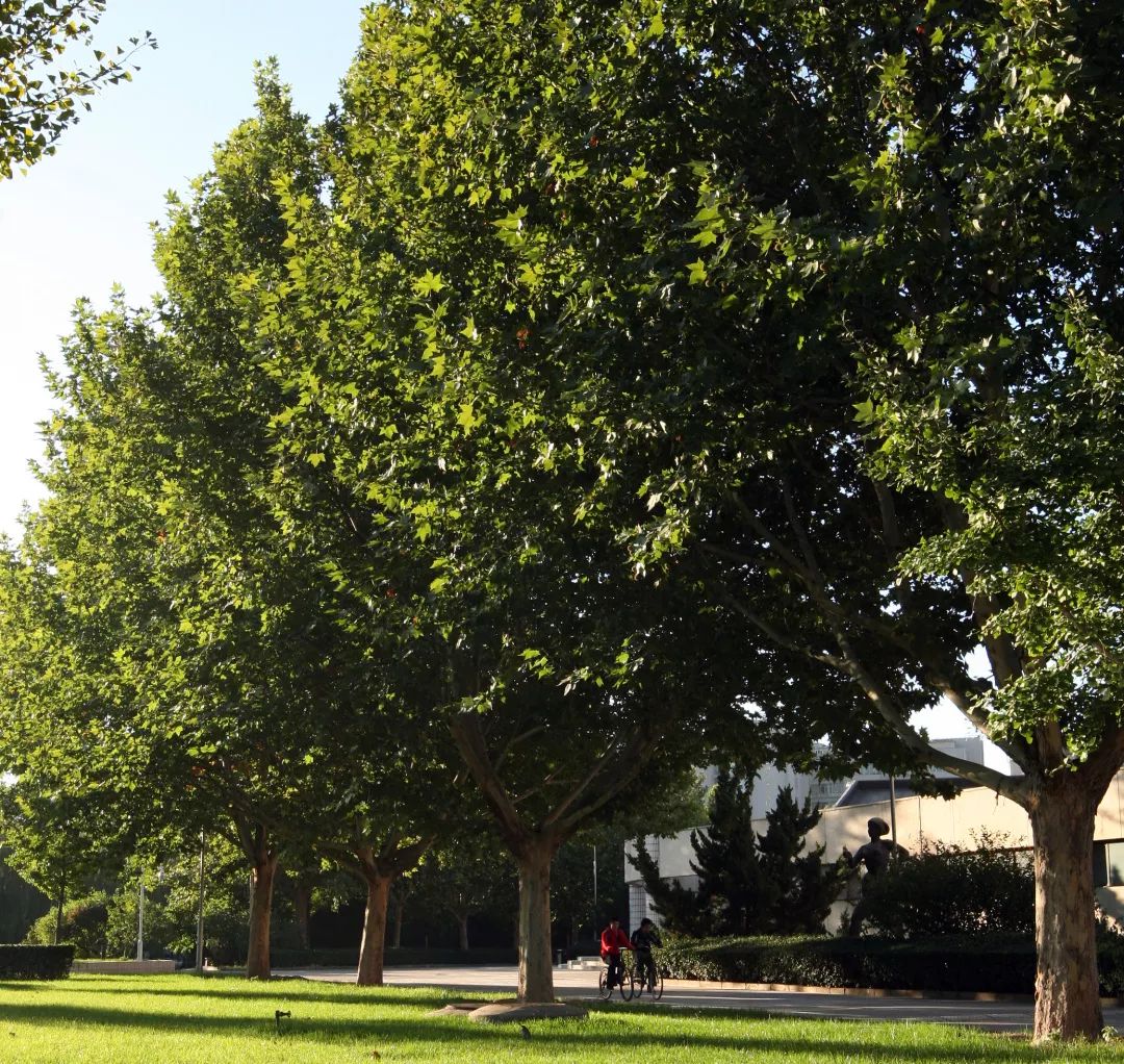 ed27da5ed11c4589bb08d0bbcd4ea189.jpg ed27da5ed11c4589bb08d0bbcd4ea189.jpg