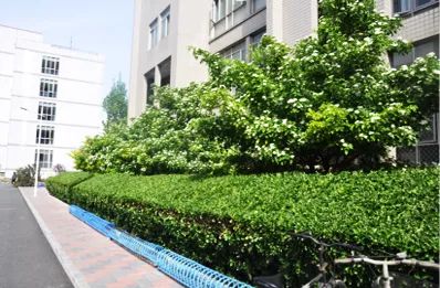 efc2aba73a194ec2a9d894ac47803298.jpg efc2aba73a194ec2a9d894ac47803298.jpg