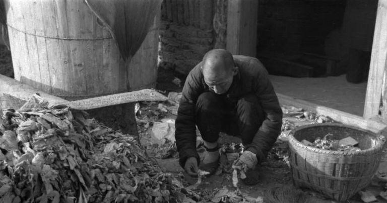 ab0a817056a8416387c24b76a2527505.png ab0a817056a8416387c24b76a2527505.png